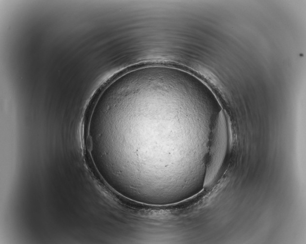 X0000093411030200710190941