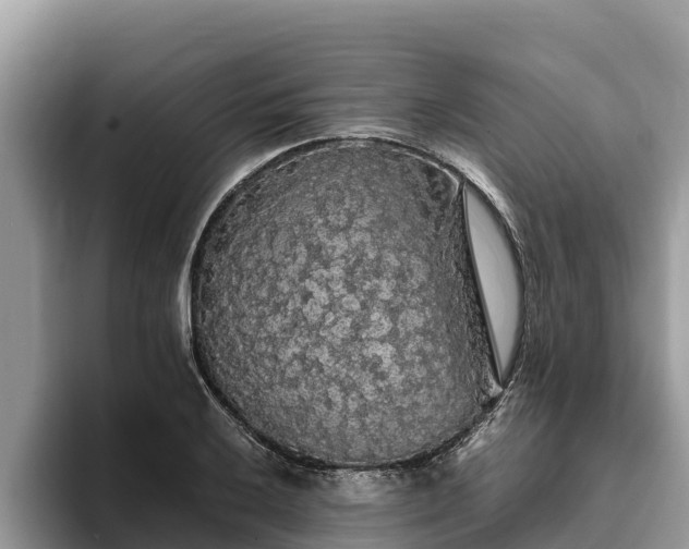 X0000093411032200710190941