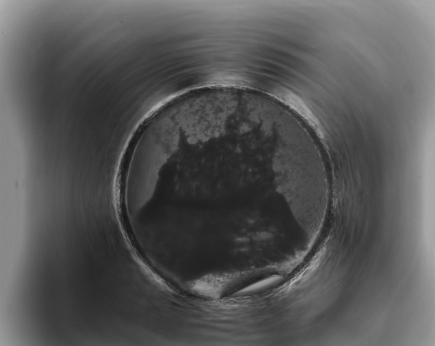 X0000093411037200710190941