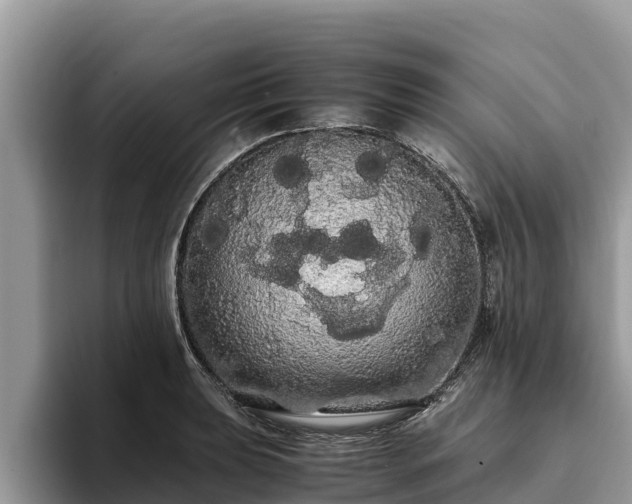 X0000093411039200710190941