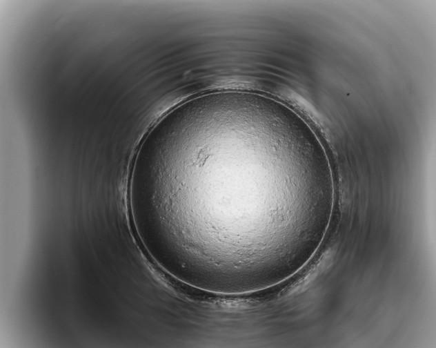 X0000093411041200710190941