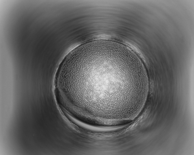 X0000093411042200710190941