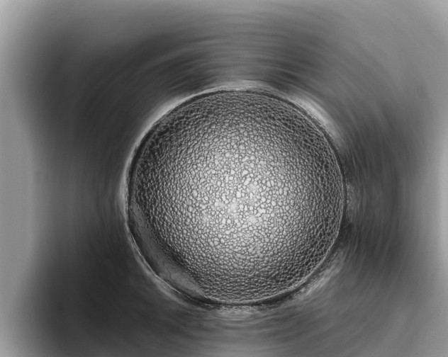 X0000093411046200710190941