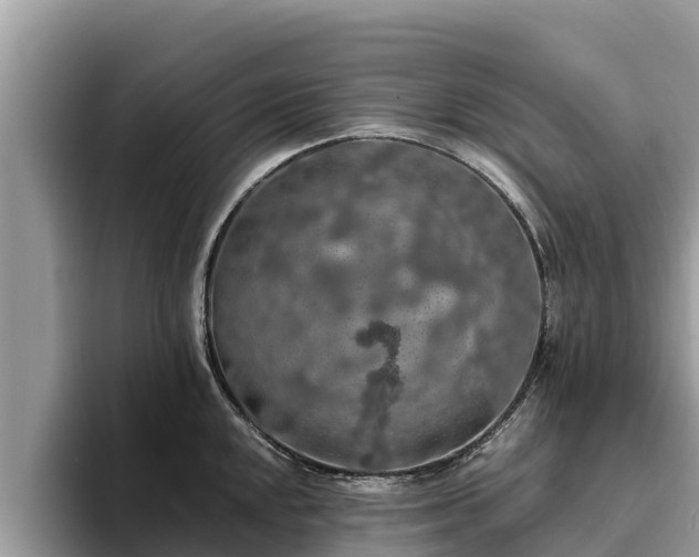 X0000093411048200710190941