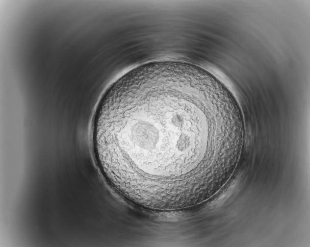 X0000093411053200710190941