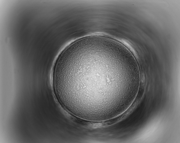 X0000093411054200710190941