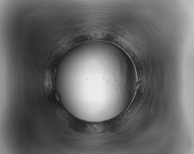 X0000093411058200710190940