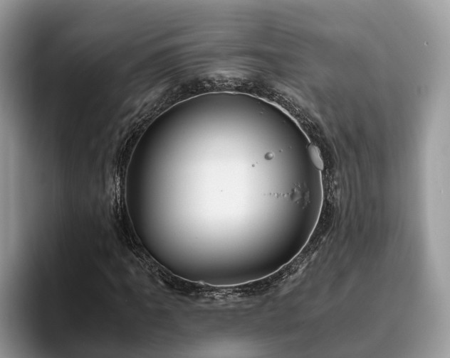 X0000093411061200710190940