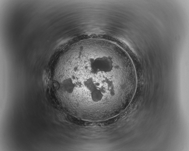 X0000093411063200710190940