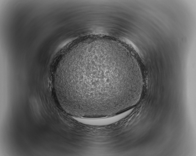 X0000093411064200710190940