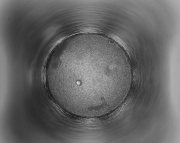 X0000093411067200710190940