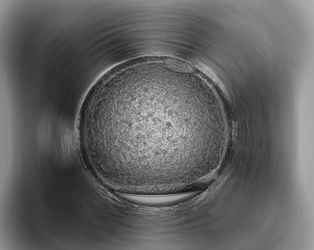 X0000093411068200710190940