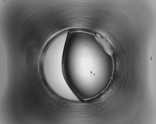 X0000093411069200710190940