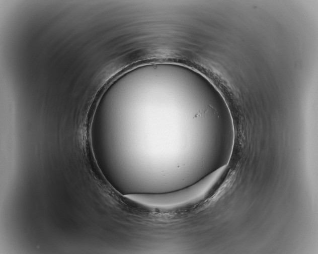 X0000093411073200710190940