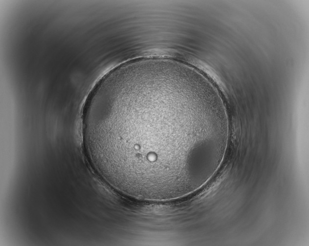 X0000093411075200710190940