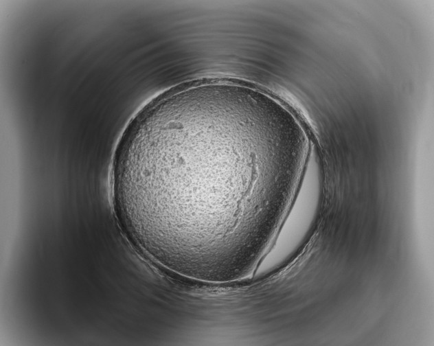 X0000093411076200710190940