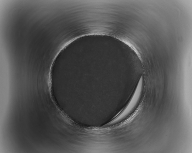 X0000093411077200710190940