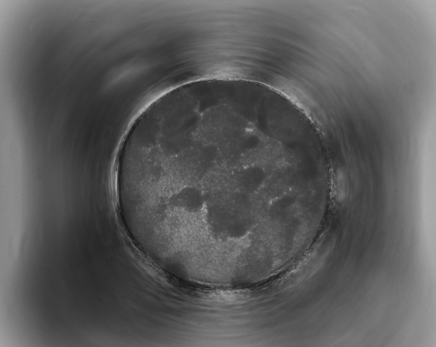 X0000093411078200710190940