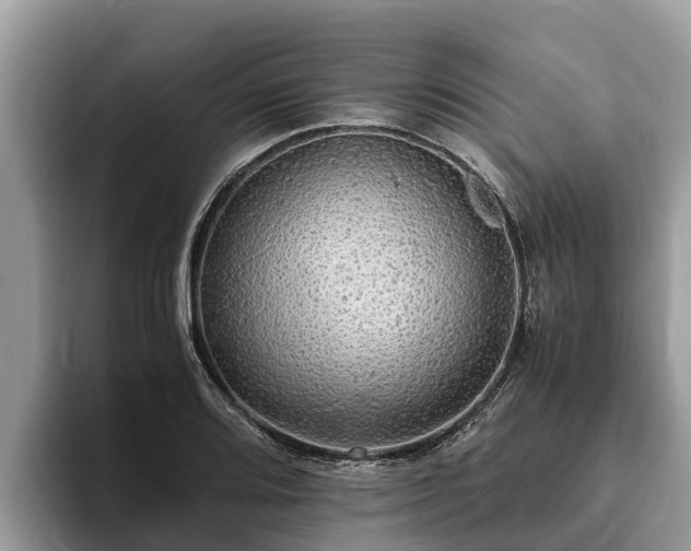 X0000093411080200710190940