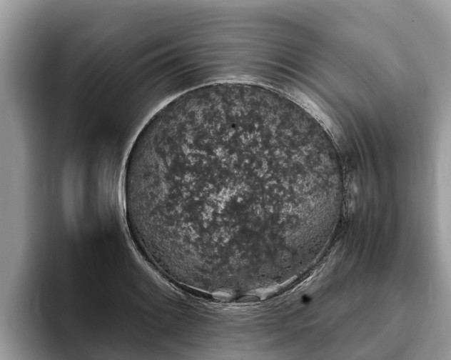 X0000093411084200710190940