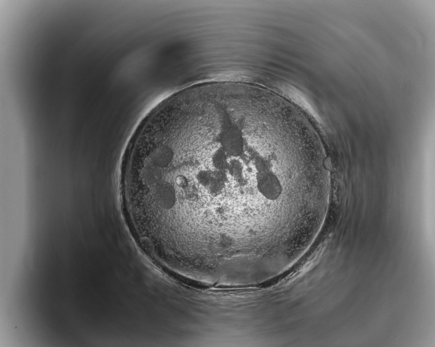 X0000093411087200710190940