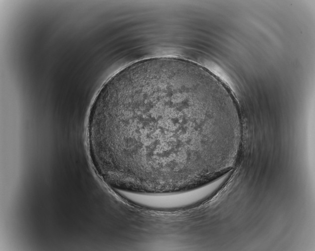 X0000093411088200710190940