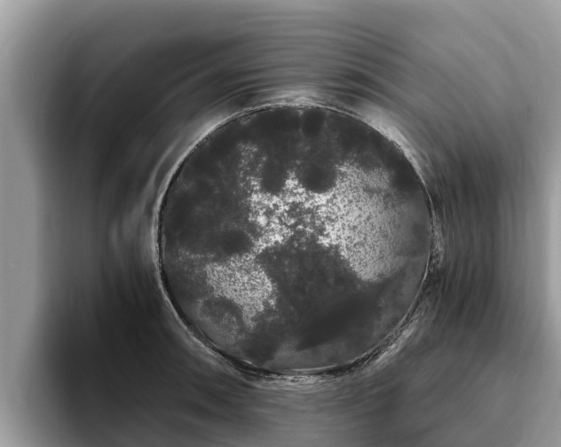 X0000093411090200710190940