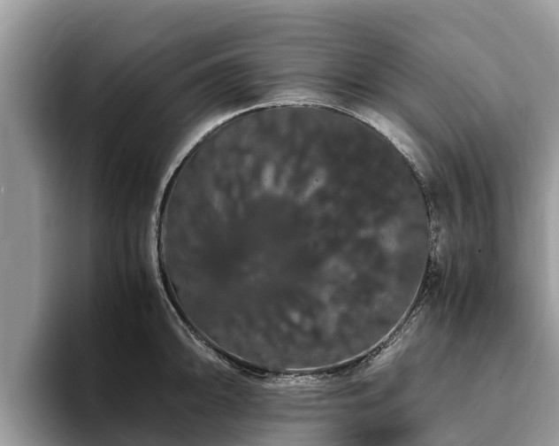 X0000093411094200710190940