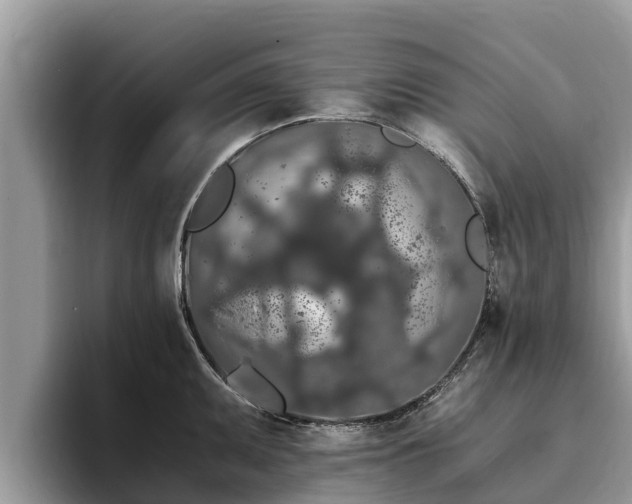 X0000093411095200710190940