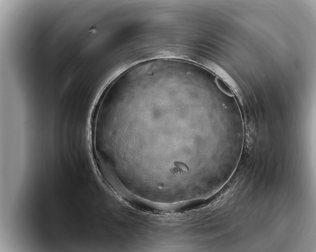 X0000093411096200710190940