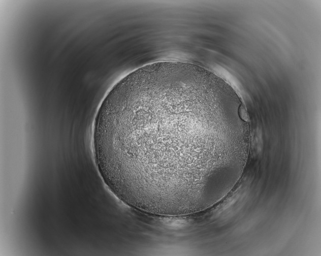 X0000093411103200710190940