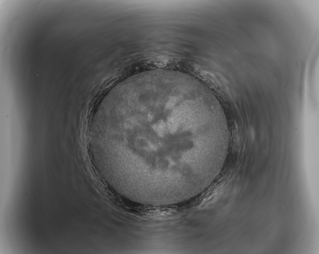 X0000093411105200710190939