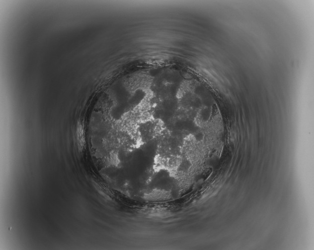 X0000093411106200710190939