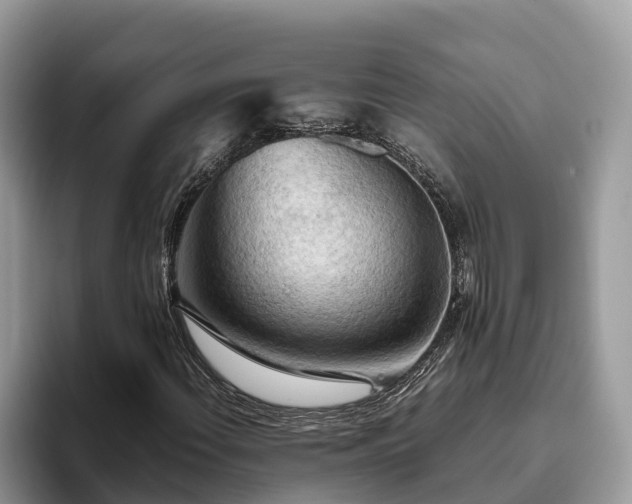 X0000093411108200710190939