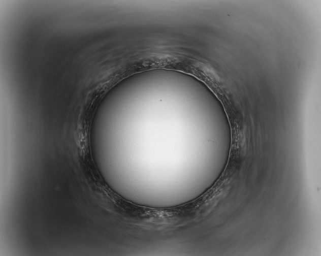 X0000093411109200710190939