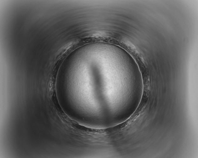 X0000093411110200710190939