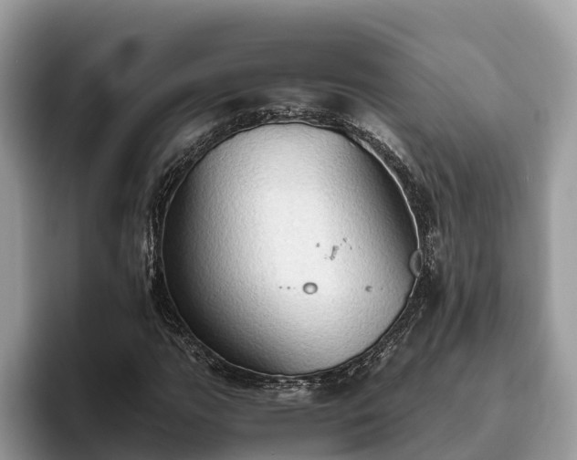 X0000093411111200710190939