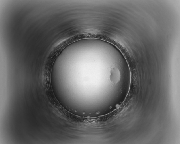 X0000093411112200710190939