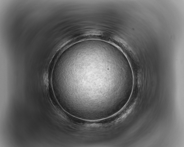 X0000093411113200710190939