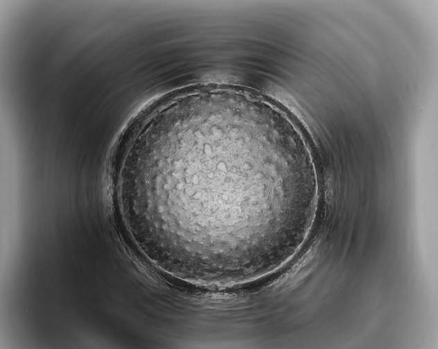 X0000093411115200710190939