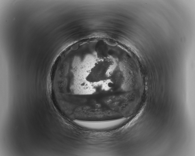 X0000093411117200710190939