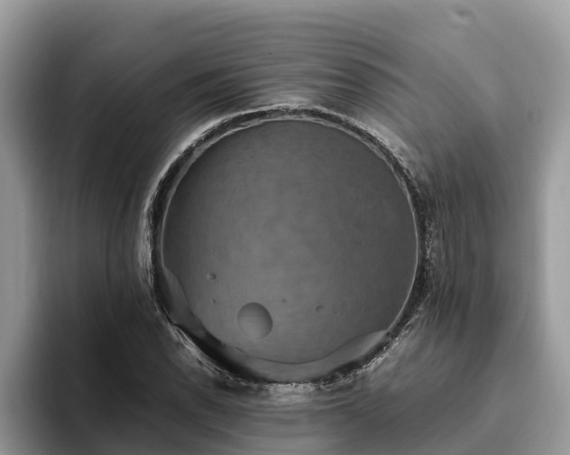 X0000093411118200710190939