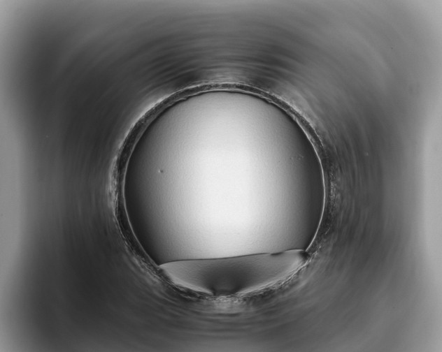 X0000093411119200710190939