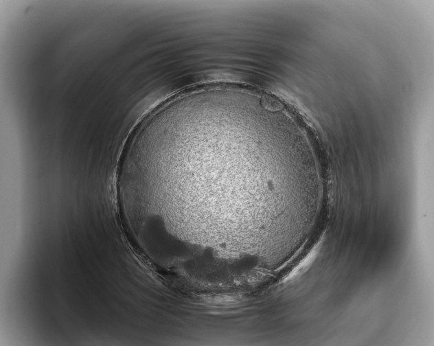 X0000093411121200710190939