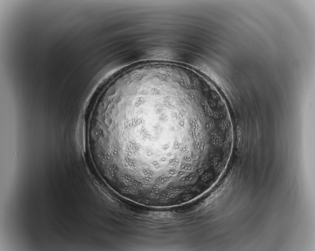 X0000093411123200710190939