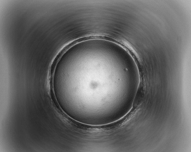 X0000093411124200710190939