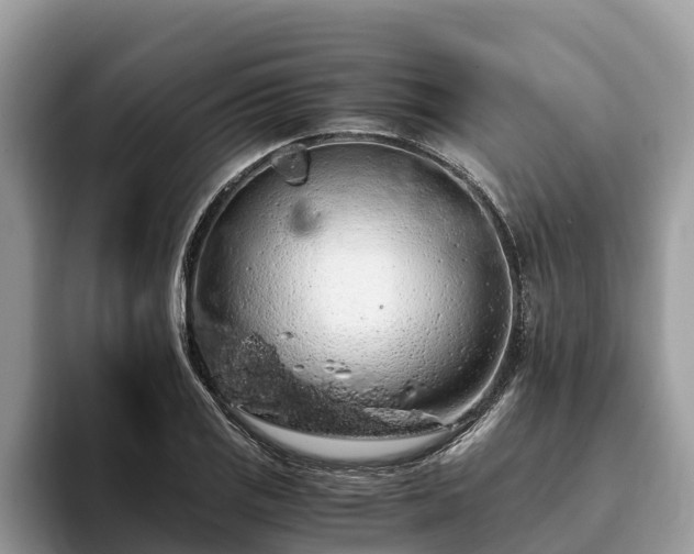 X0000093411125200710190939