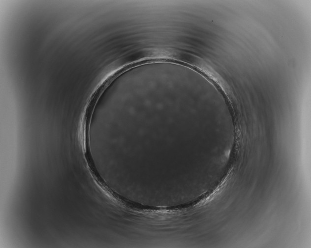 X0000093411127200710190939