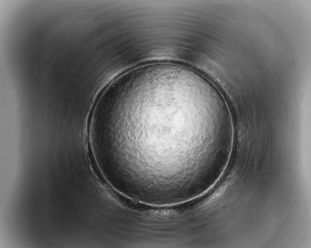 X0000093411129200710190939