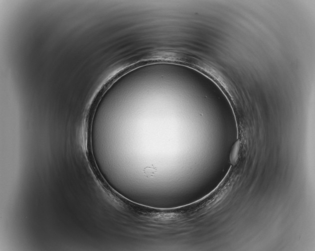 X0000093411131200710190939